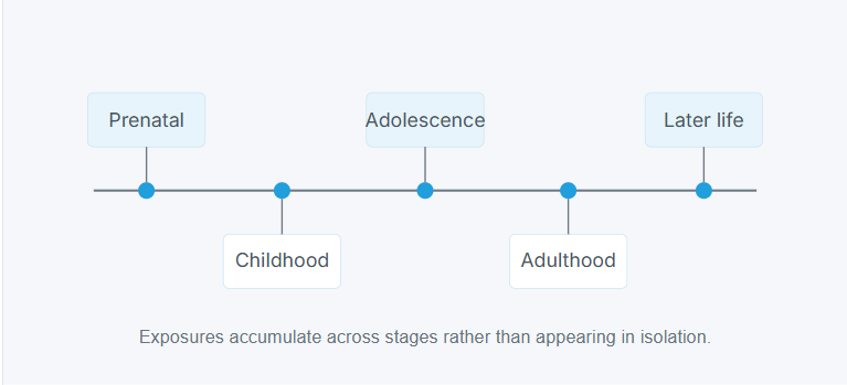 Exposures accumulate across stages rather than appearing in isolation.