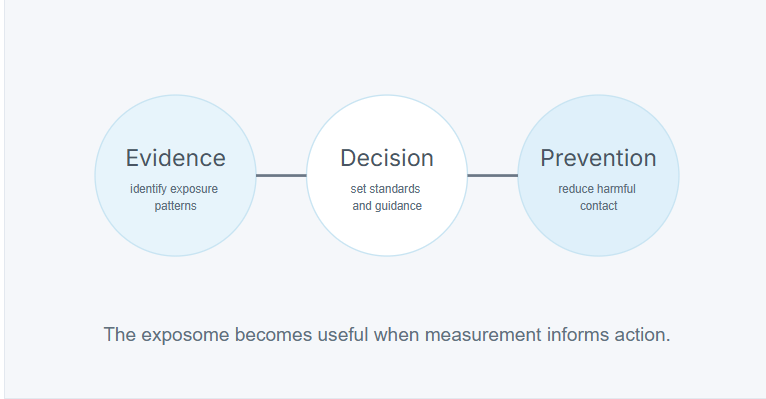 The exposome becomes useful when measurement informs action
